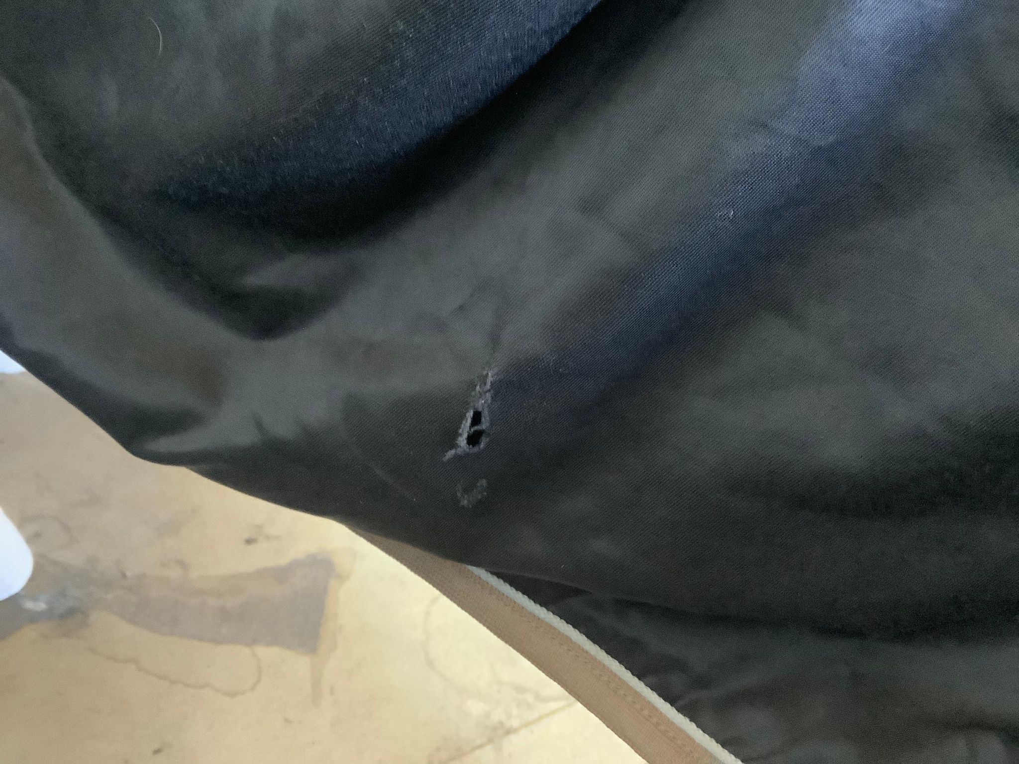 Skrittäcke,exklusive horsewear,F,svart,en reva insidan och en liten utsidan,fodrat