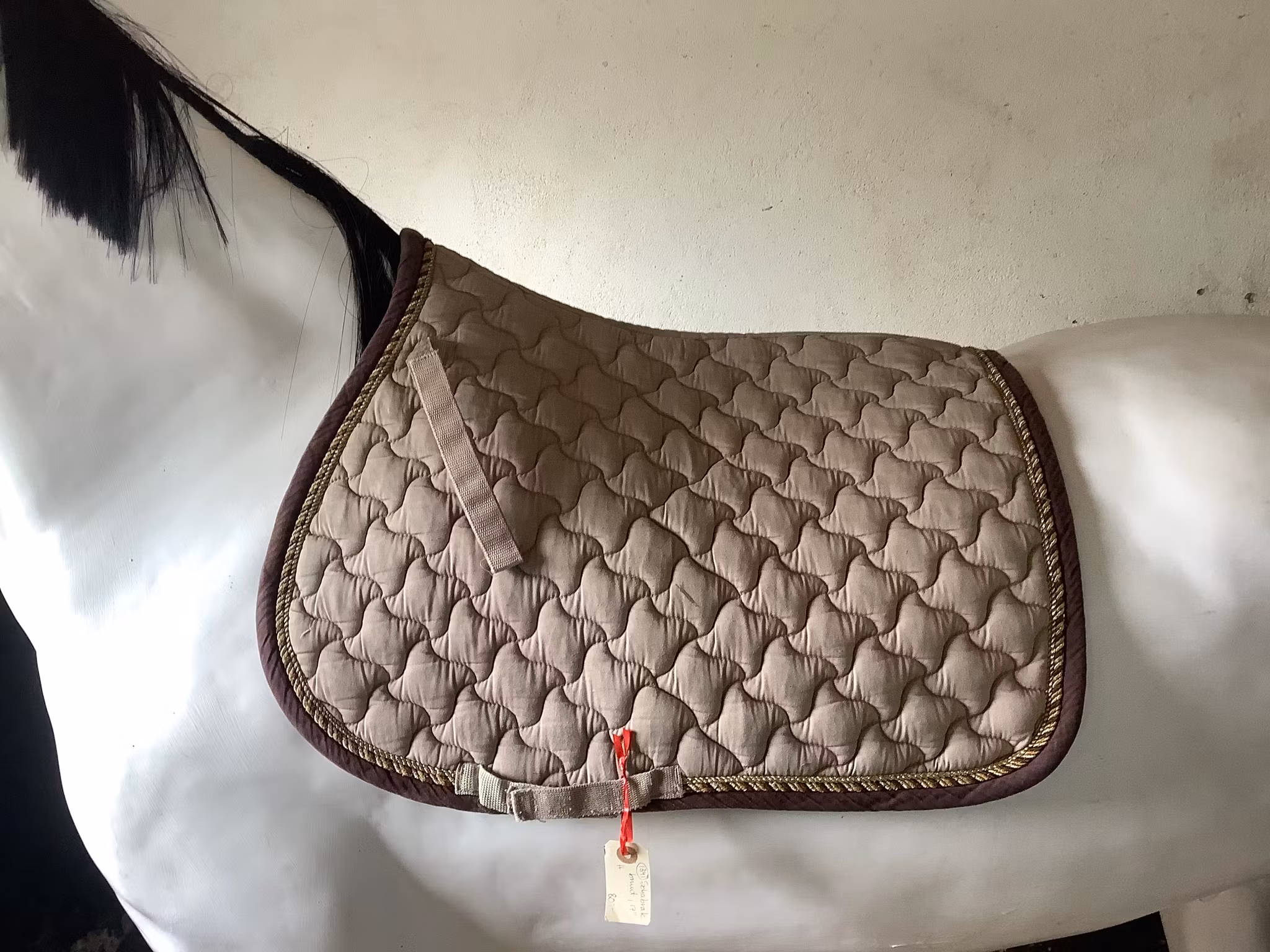 Schabrak brunt,17”,hopp