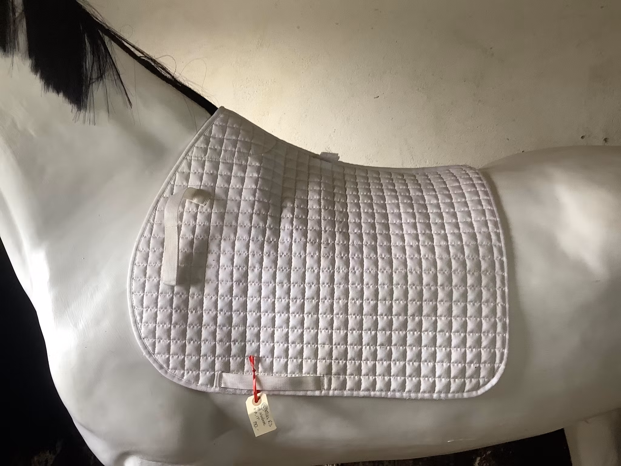 Mias rs,schabrak,vitt med ludd vid manken,17”