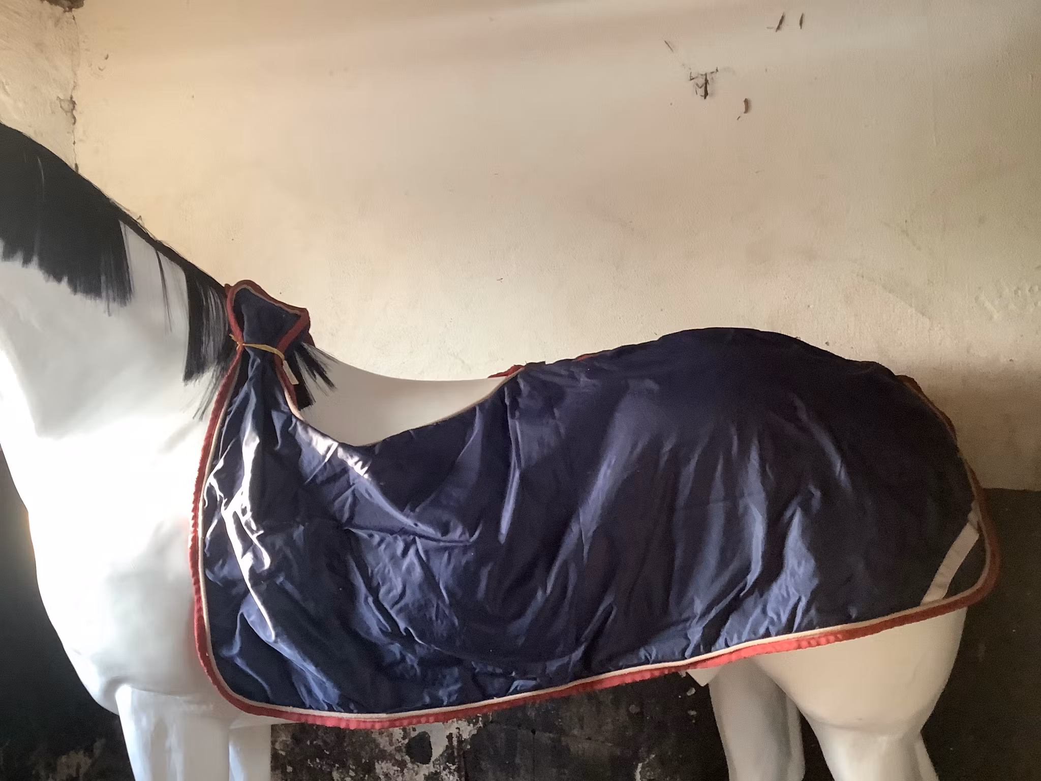 Horsepol skrittäcke,blå,F