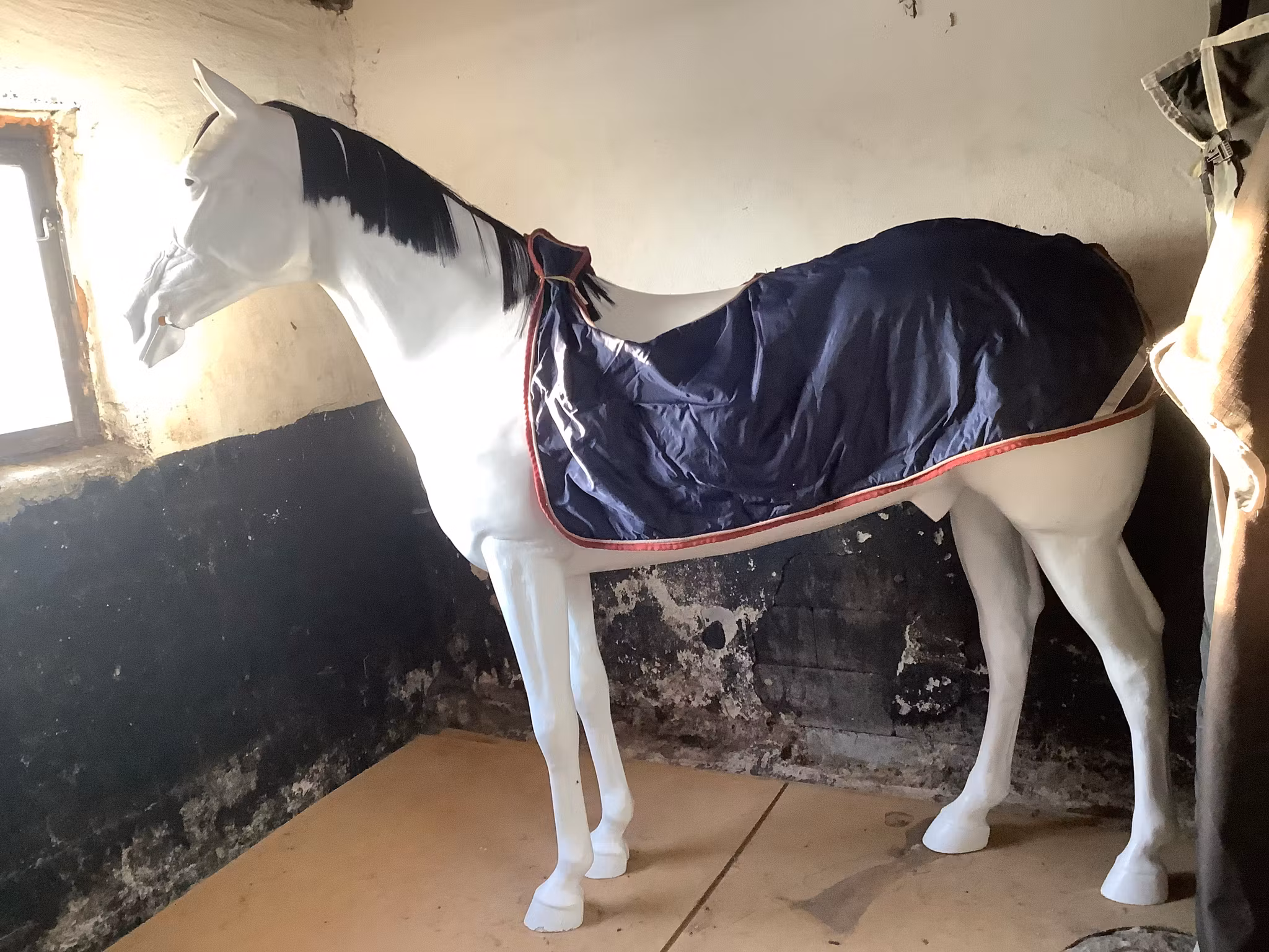 Horsepol skrittäcke,blå,F