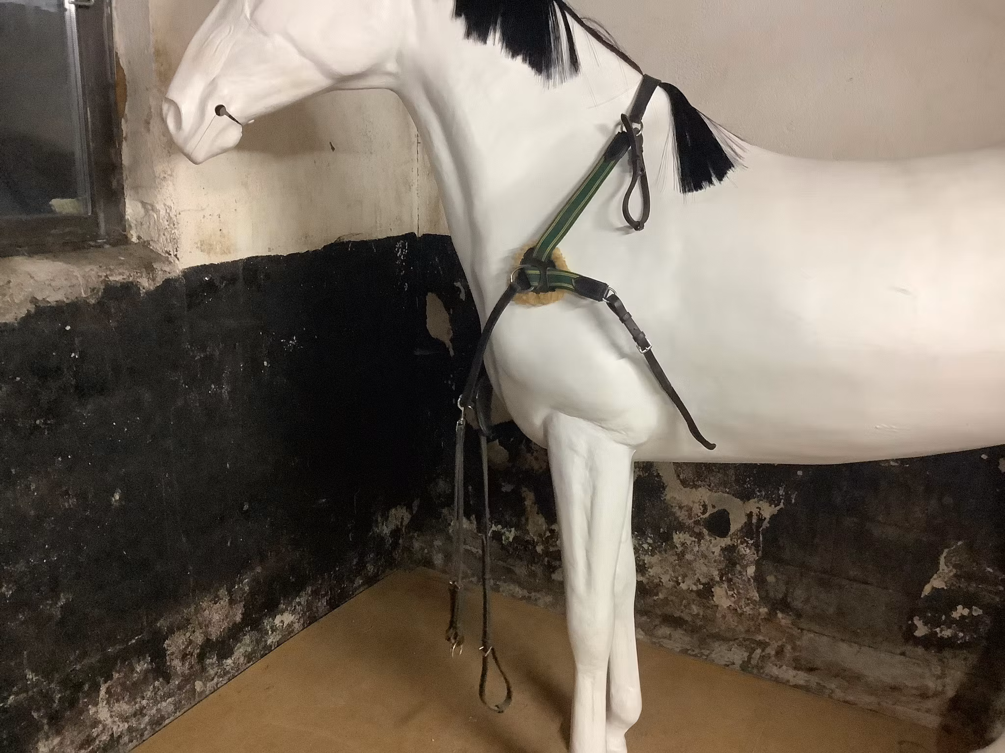 Martingal med förbygel,XF