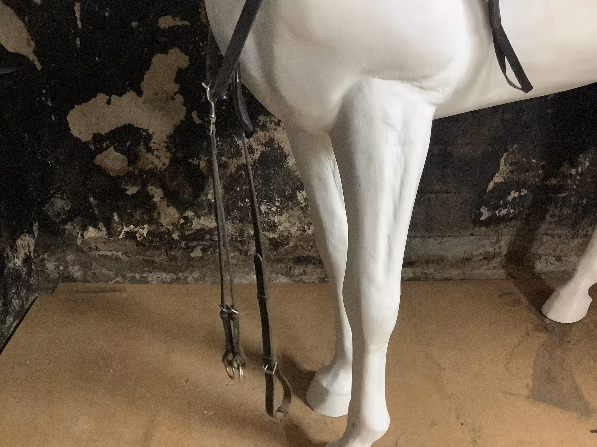 Martingal med förbygel,XF