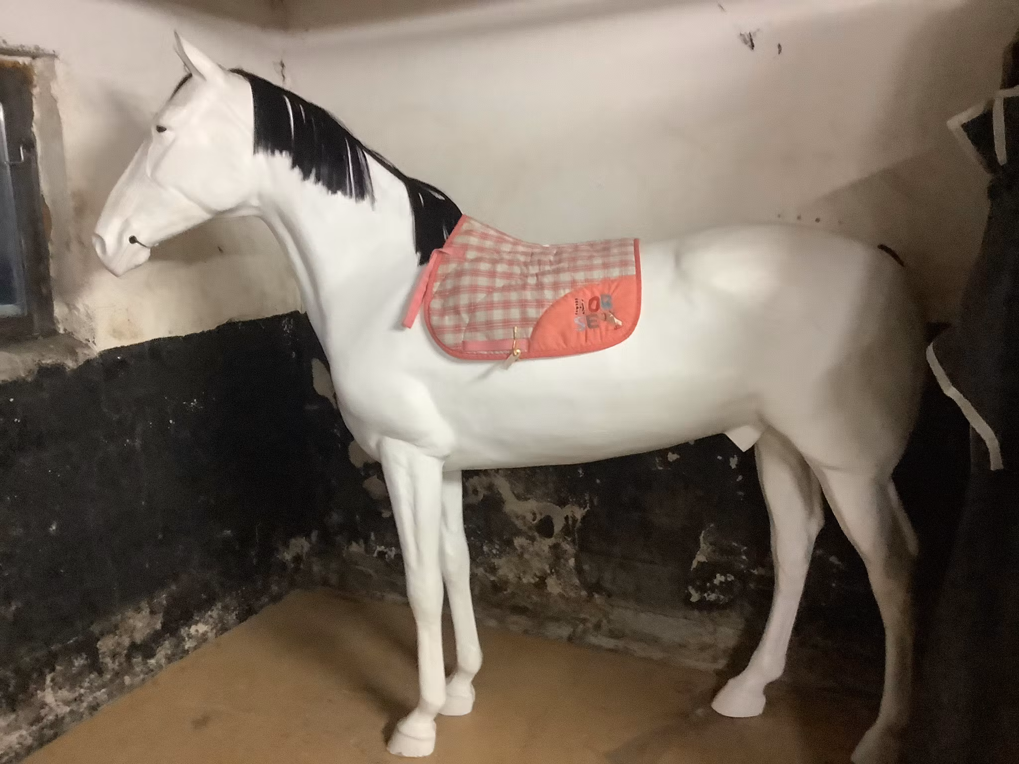 Waldhausen schabrak,rutigt,P