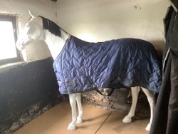 Mark todd stalltäcke,ca 300 gr,160 cm,otvättat