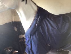 Horseware stalltäcke,145 cm,50 gr,nytt
