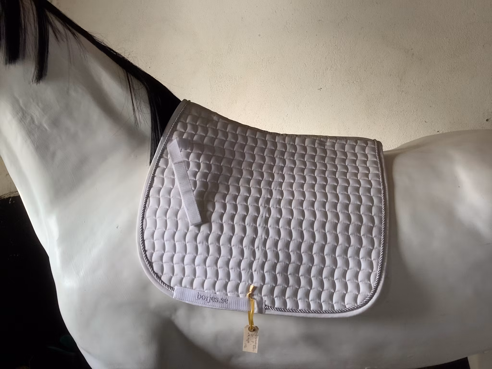 Schabrak,börjes,dr,vitt,P,nytt