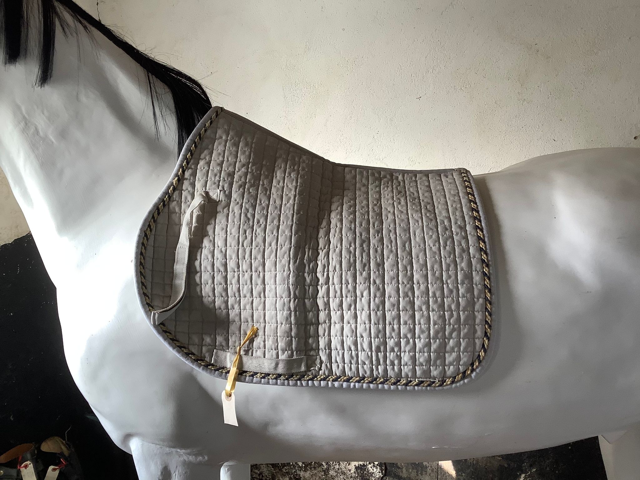 Schabrak,equiline,h,F,vitt