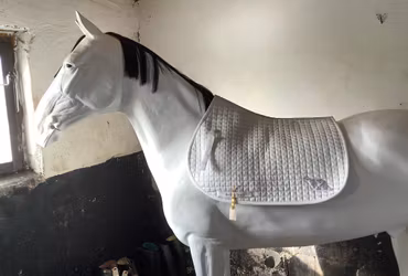 Back on track,schabrak,H,F,vitt