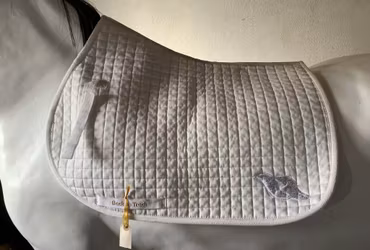 Back on track,schabrak,H,F,vitt