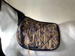 Equiline schabrak,mönstrat,hopp,p