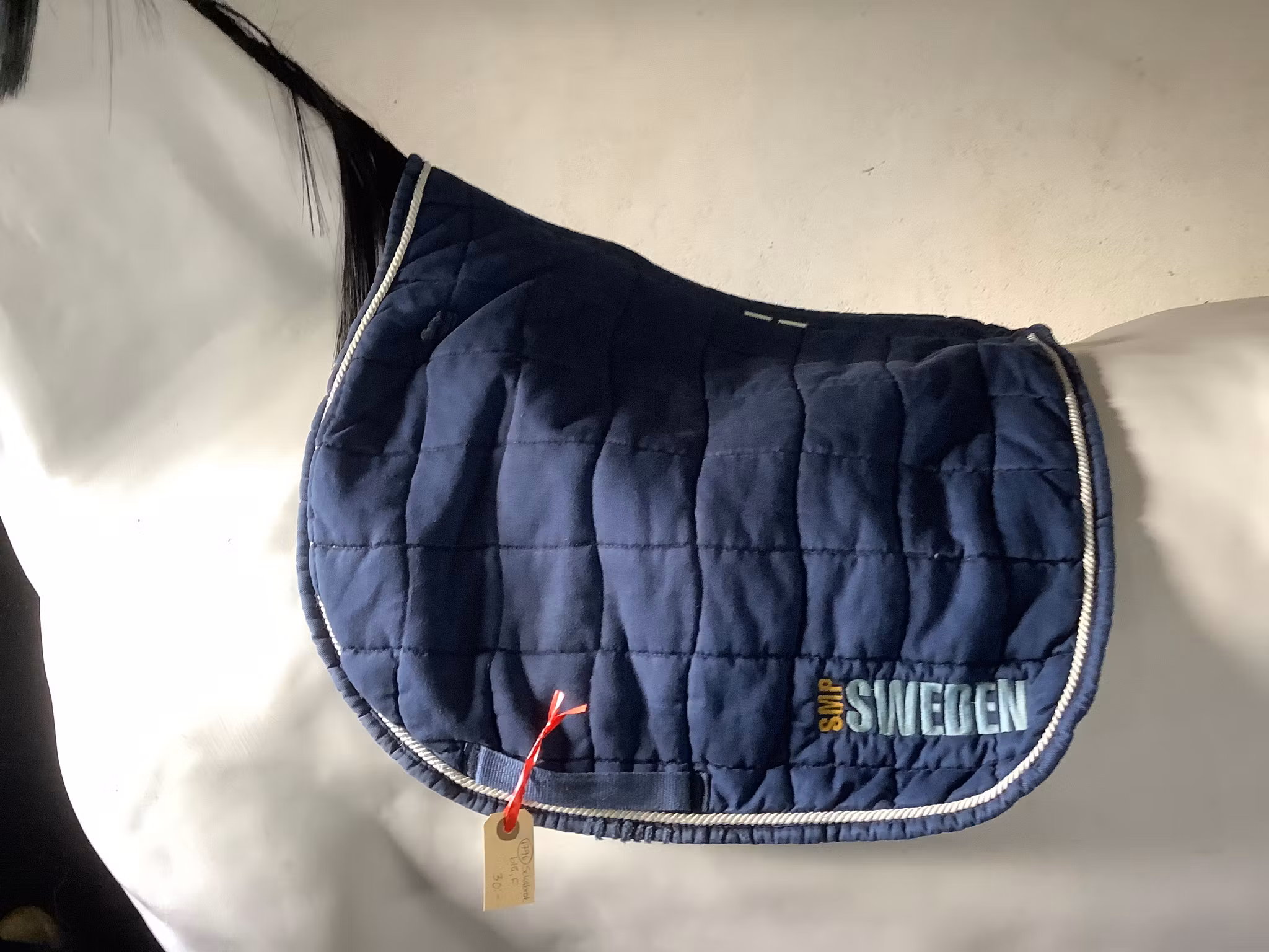 Schabrak,blå,F