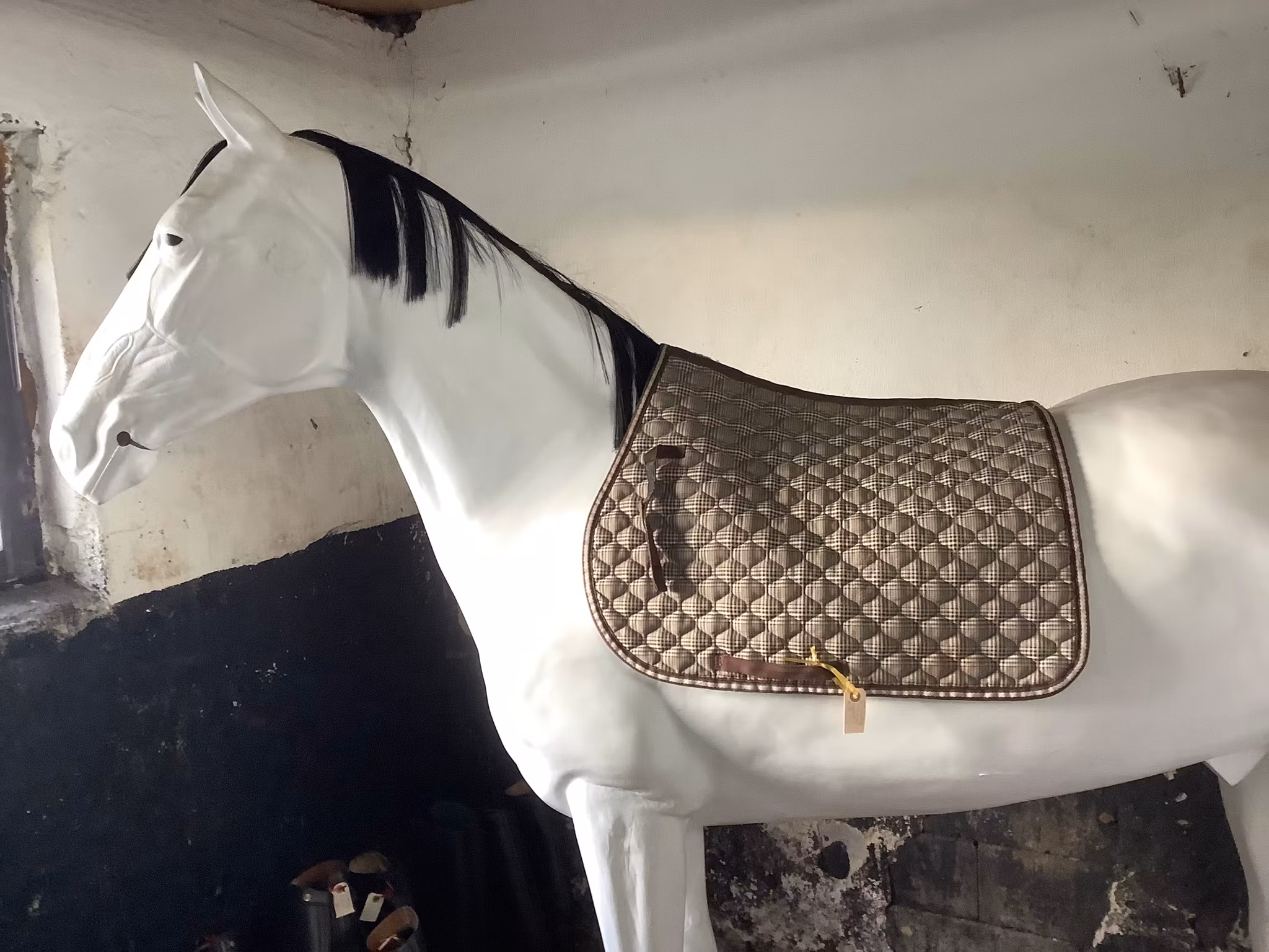 Mustang schabrak,brunrutigt,F