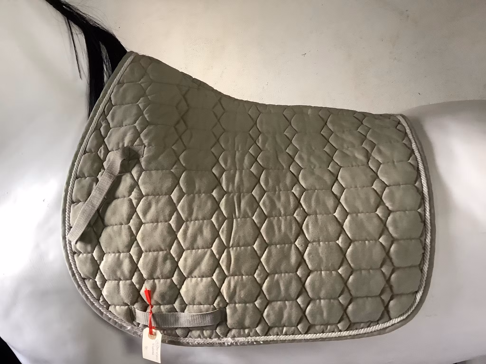 Horse saver schabrak,F