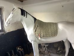 Horse saver schabrak,F