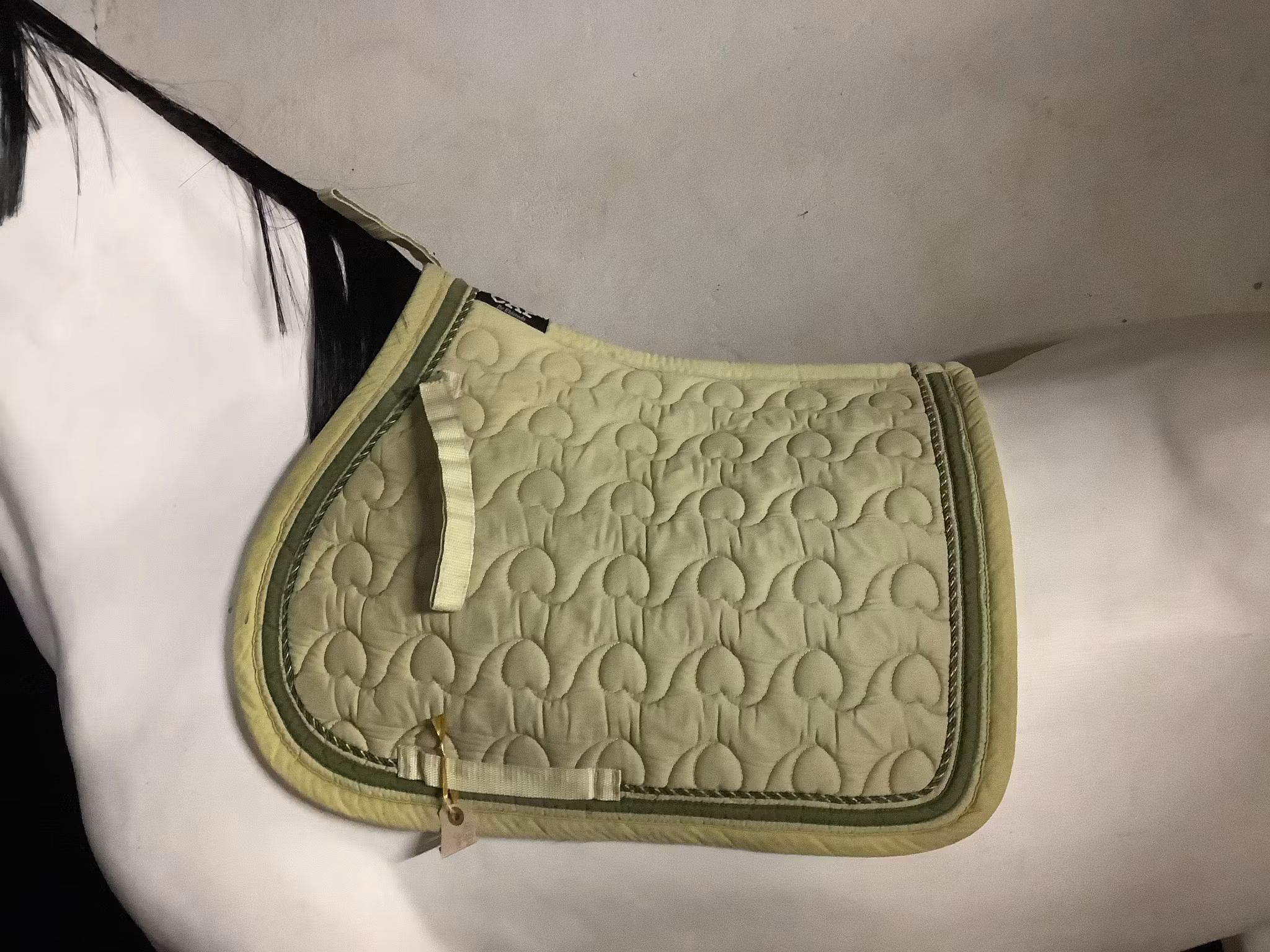 CAP eldorado,grön,16”