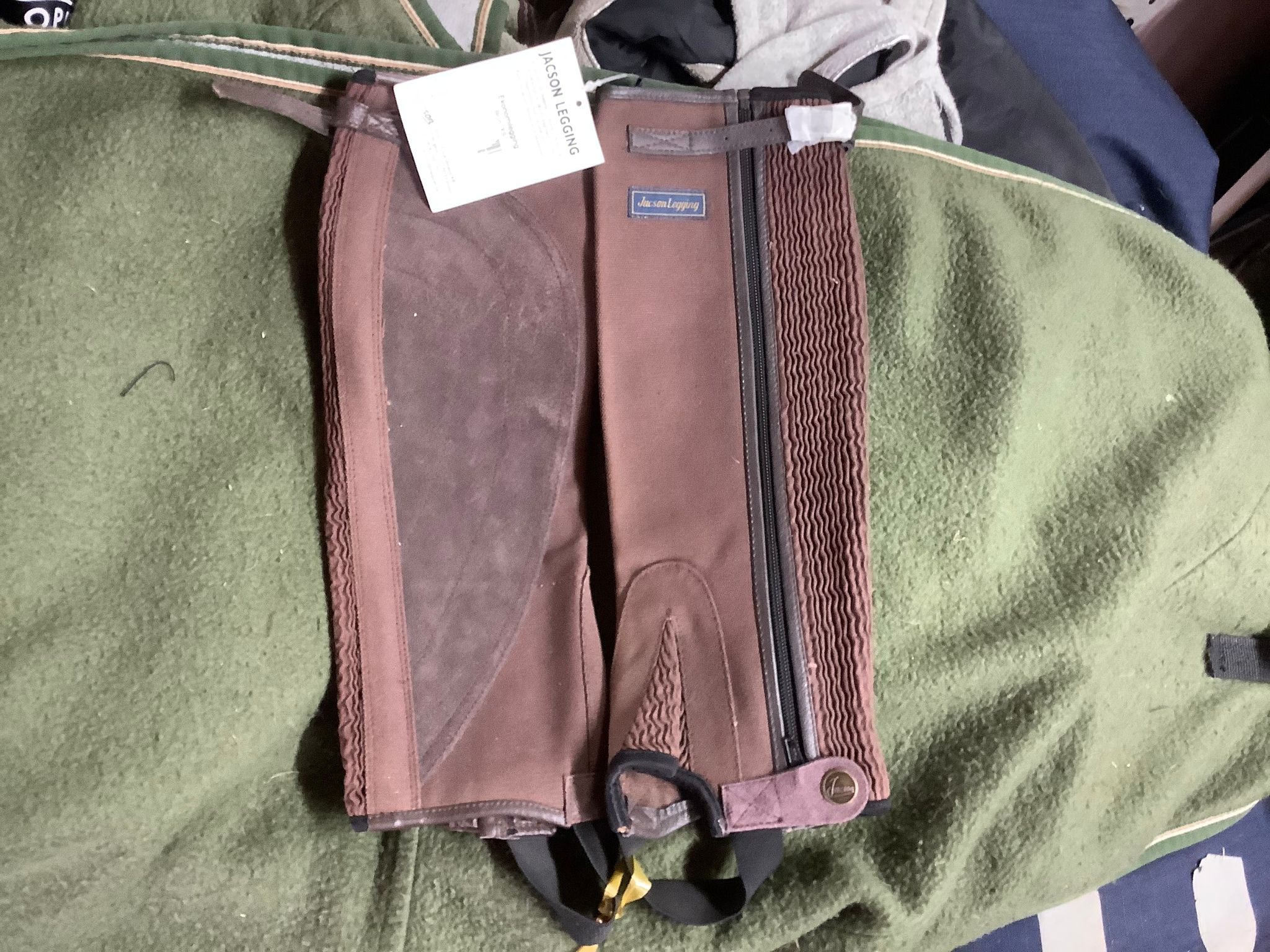 Jacson shortchaps,bruna xs,nya
