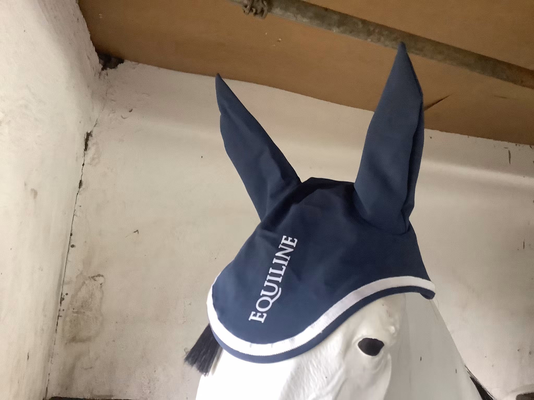 Equilinehuva,huva,blå,F,ny