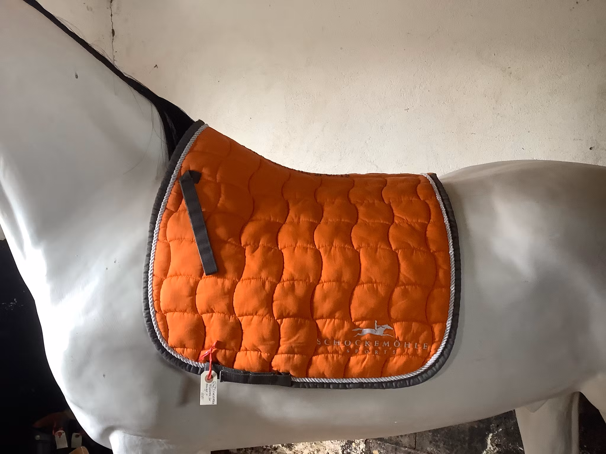 Schockemöhle schabrak, dr,orange,F