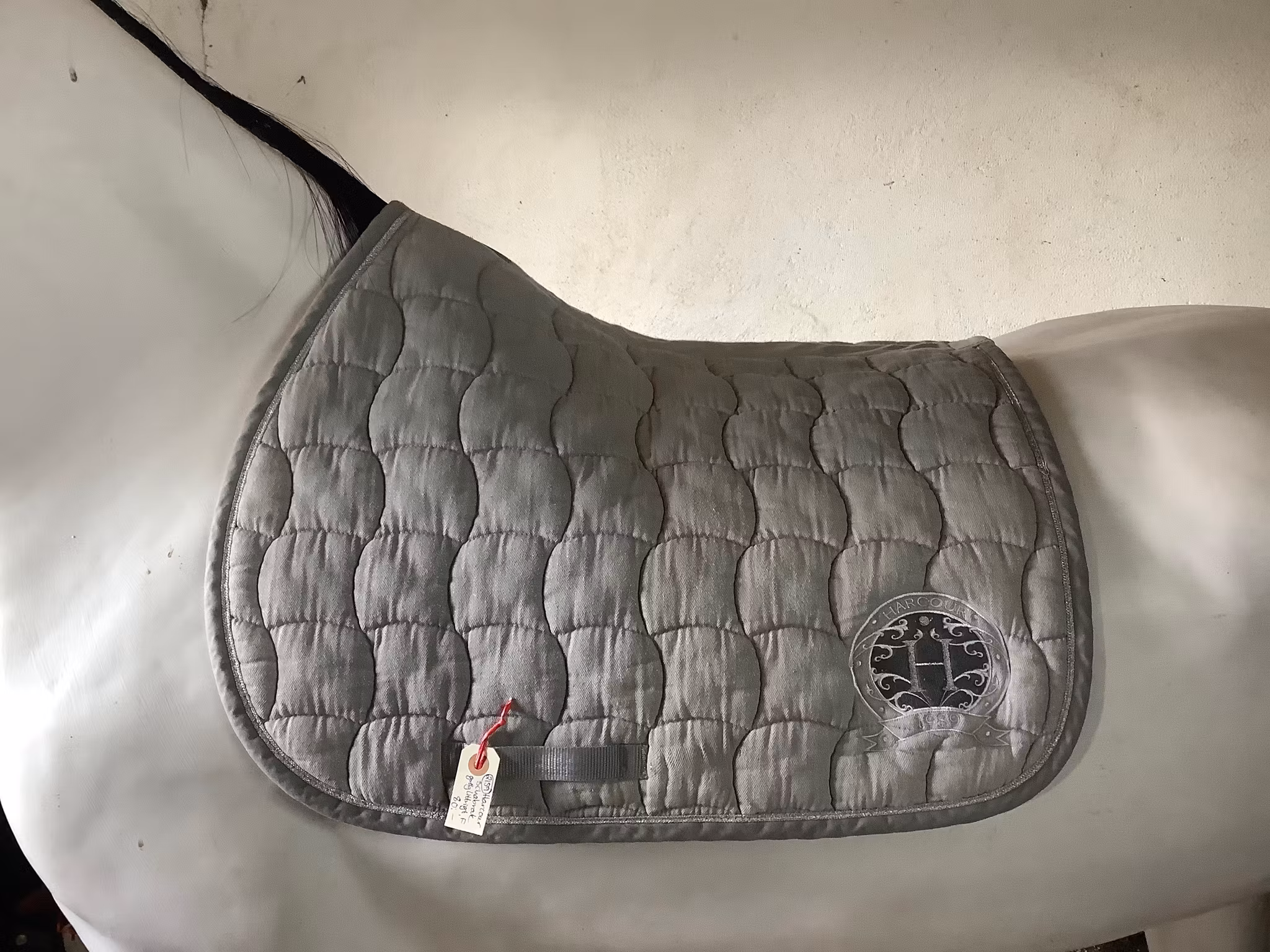 Harcour schabrak, gråglittrigt,F