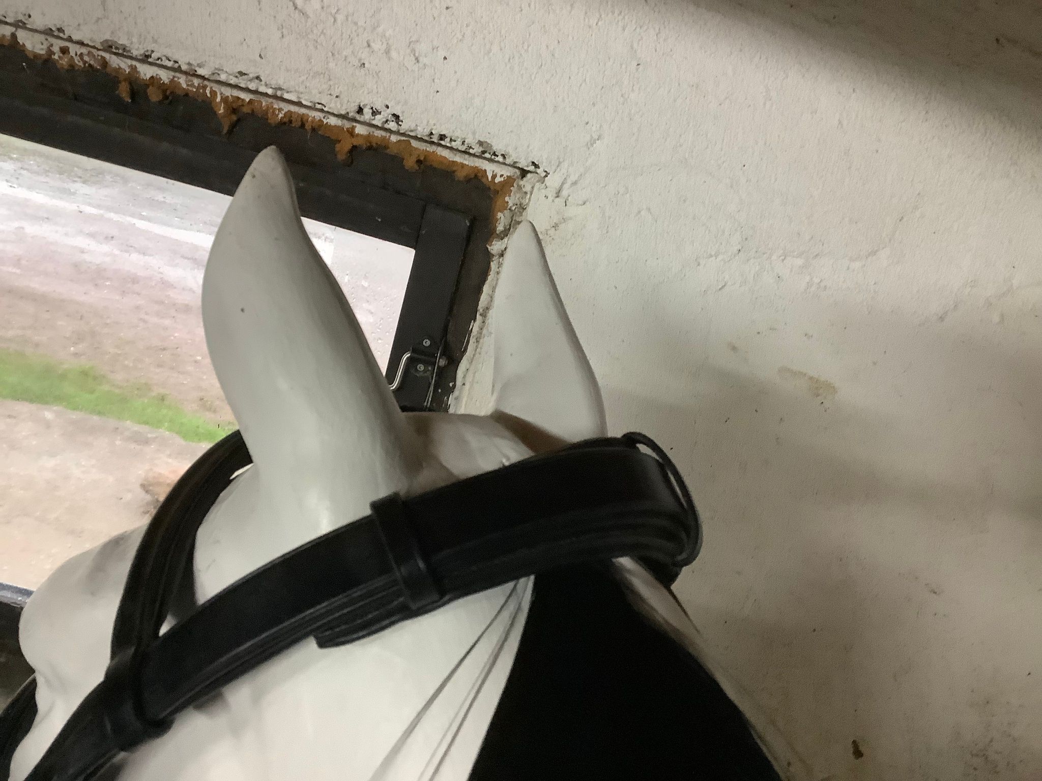 MH matador kandarträns,dressyr,svart,F,nytt