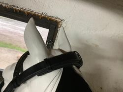 MH matador kandarträns,dressyr,svart,F,nytt