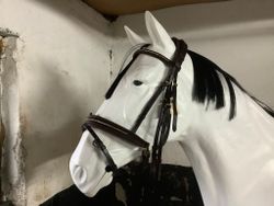 MH rubicon träns,dressyr,brun,F,nytt