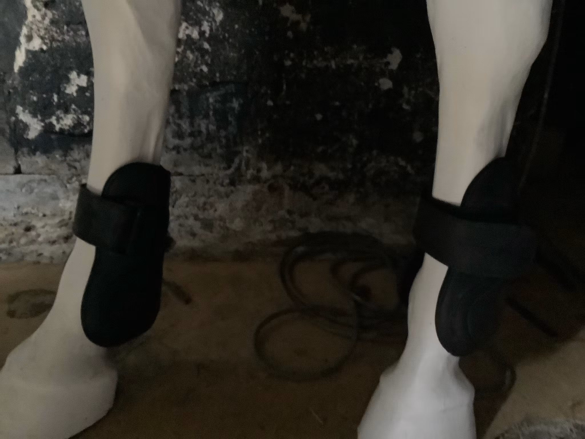 Globus ordo equester benskydd,bak svarta,m