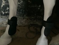 Globus ordo equester benskydd,bak svarta,m