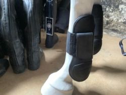 Globus ordo equester,benskydd,fram,svarta,L,nya