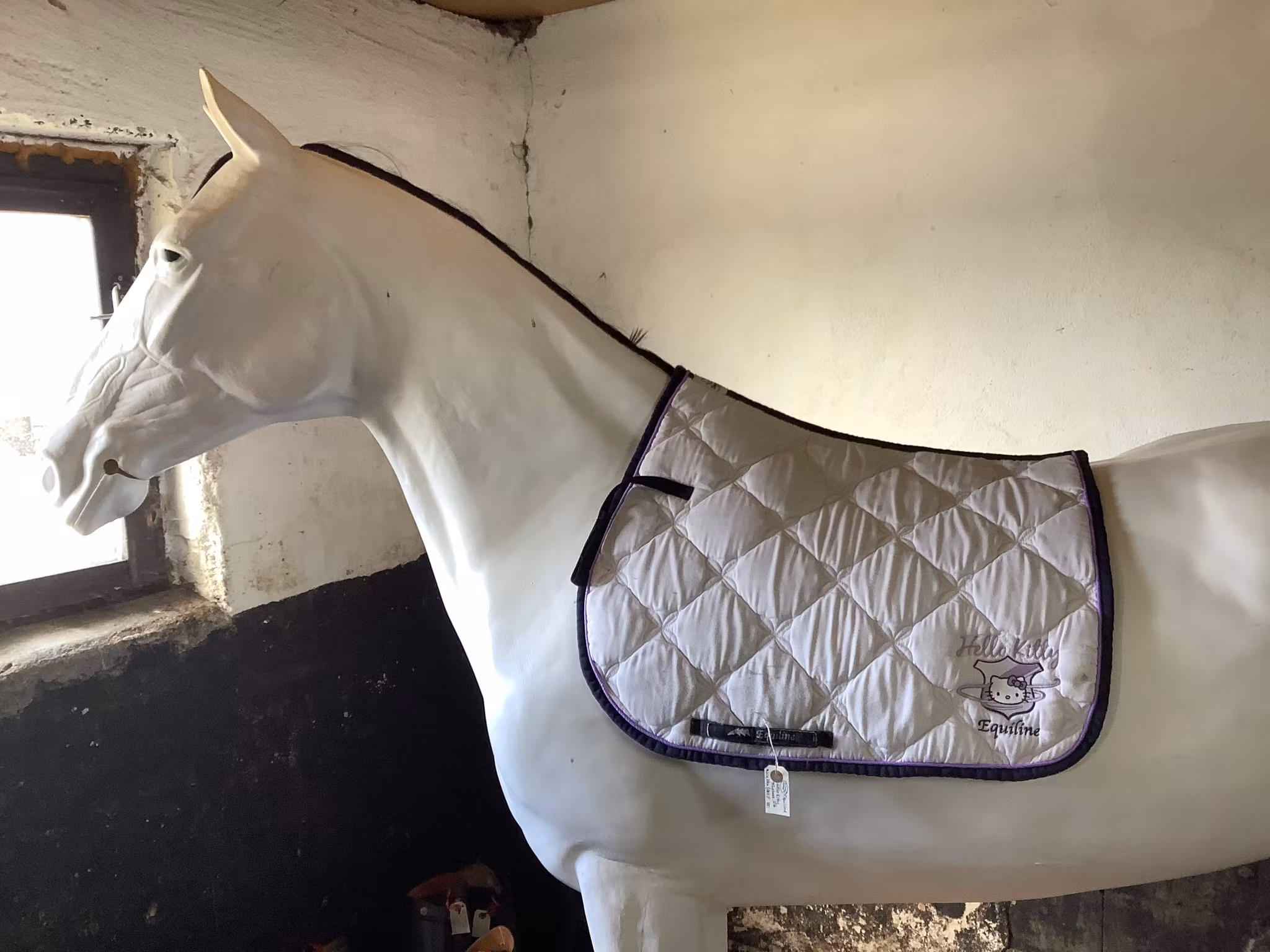 Equiline hello kitty schabrak, vitt med lila,liten fläck,F