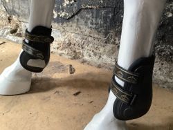 Veredus pro jump bakbensskydd,svarta,L