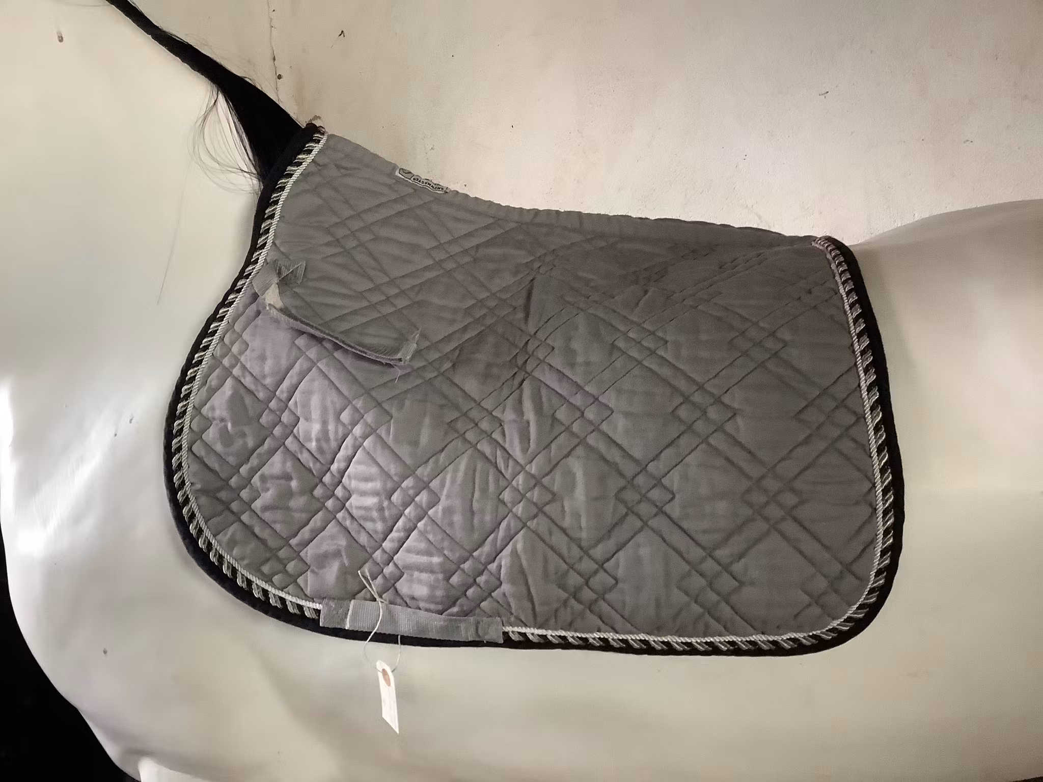 Showmaster schabrak,grå,F