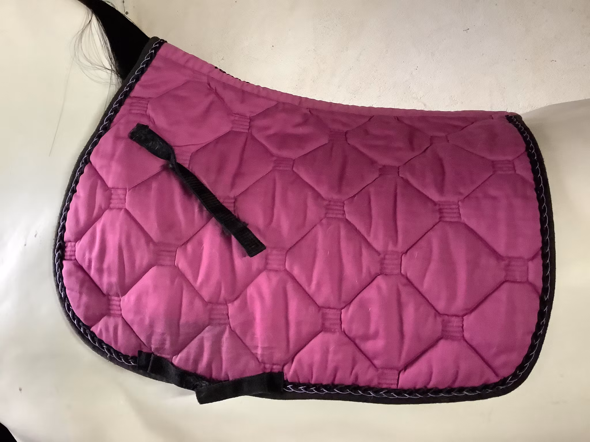 Tattini schabrak,rosa,F