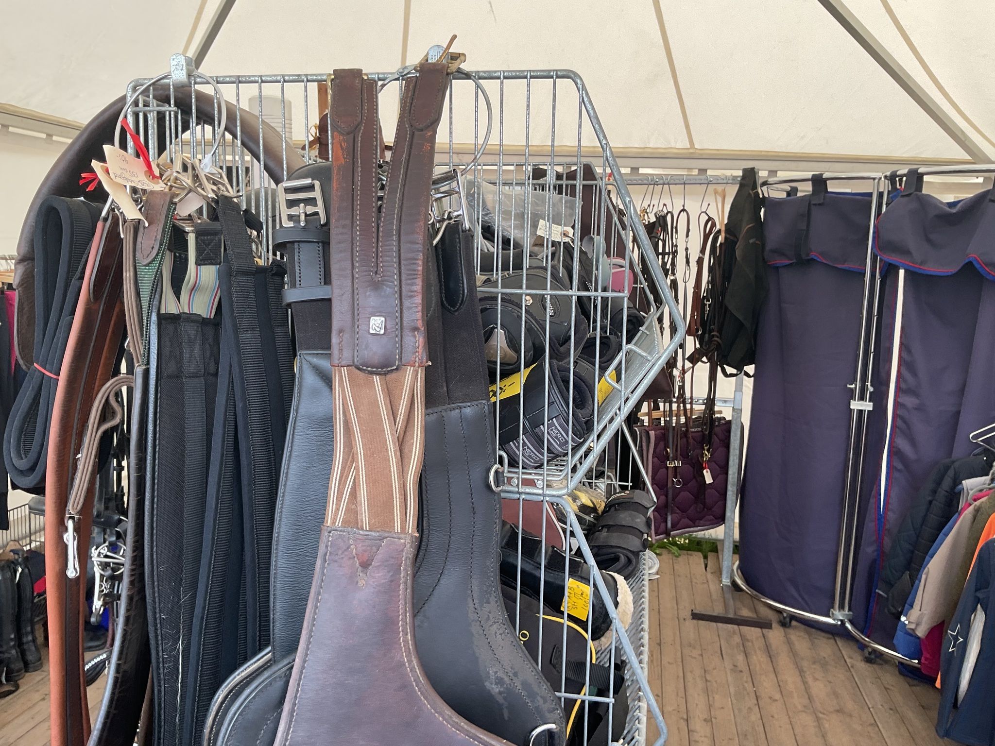 Sadelgjord med magplatta,brun, 145 cm