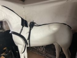 Sele ponny(105 cm),svart,nyskick