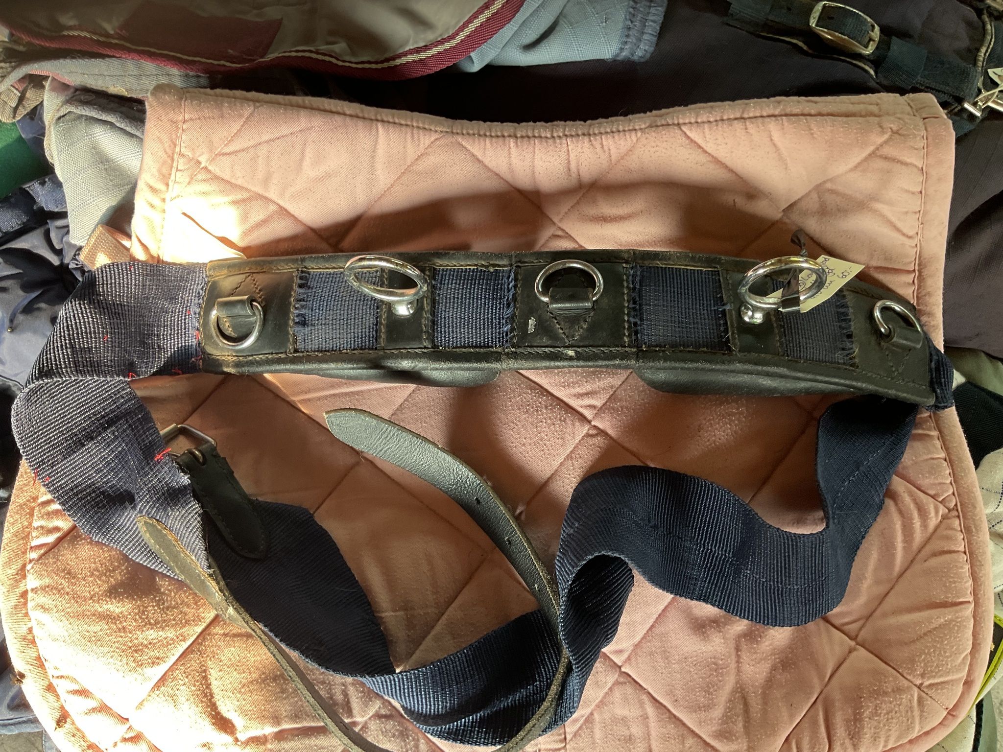 Longeringsgjord totallängd 210 cm