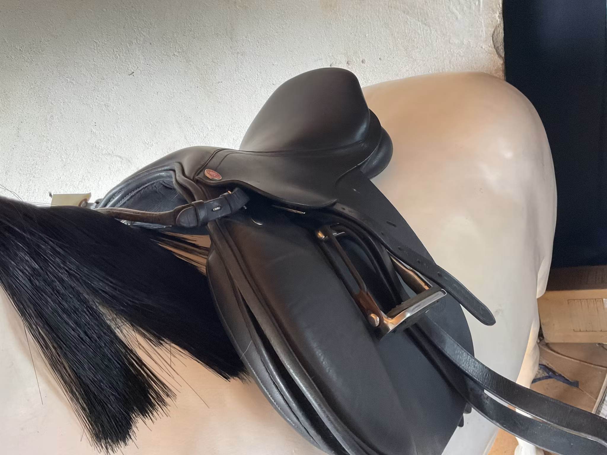 Claridge house sadel 15” svart, gult järn i, med stigläder och stigbyglar