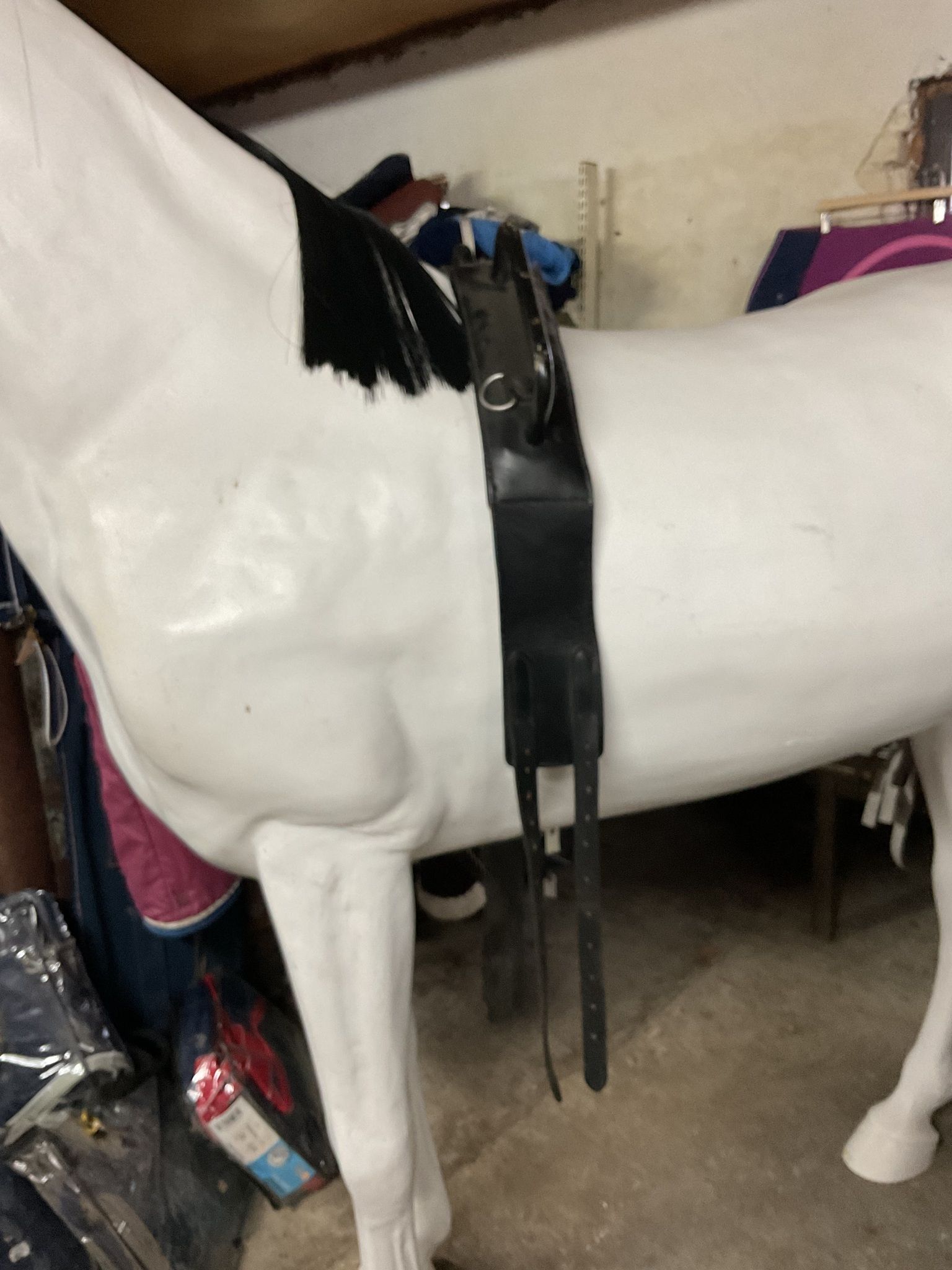 Voltigegjord ca 220 cm lång
