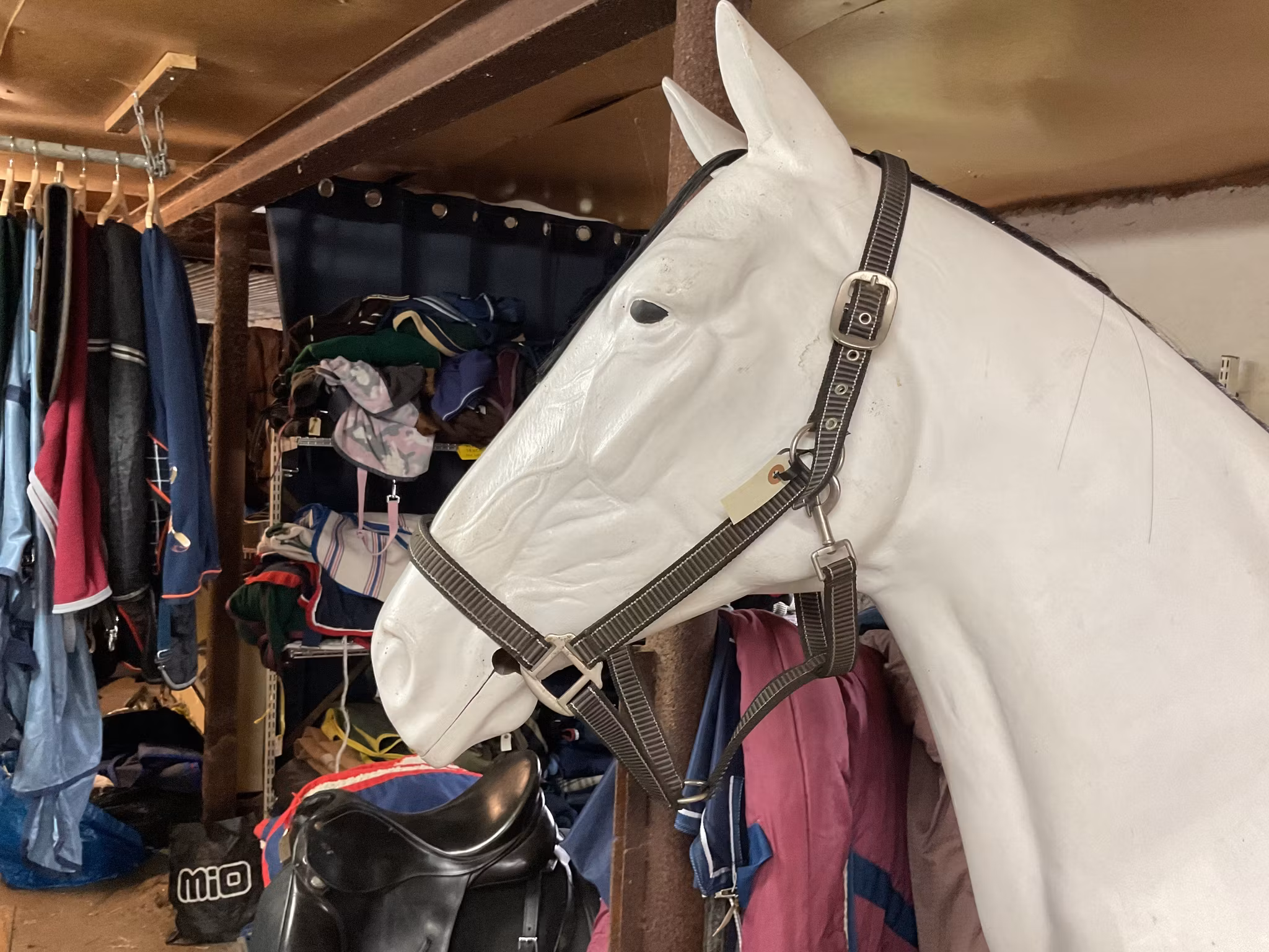 Grimma, randig, x-full