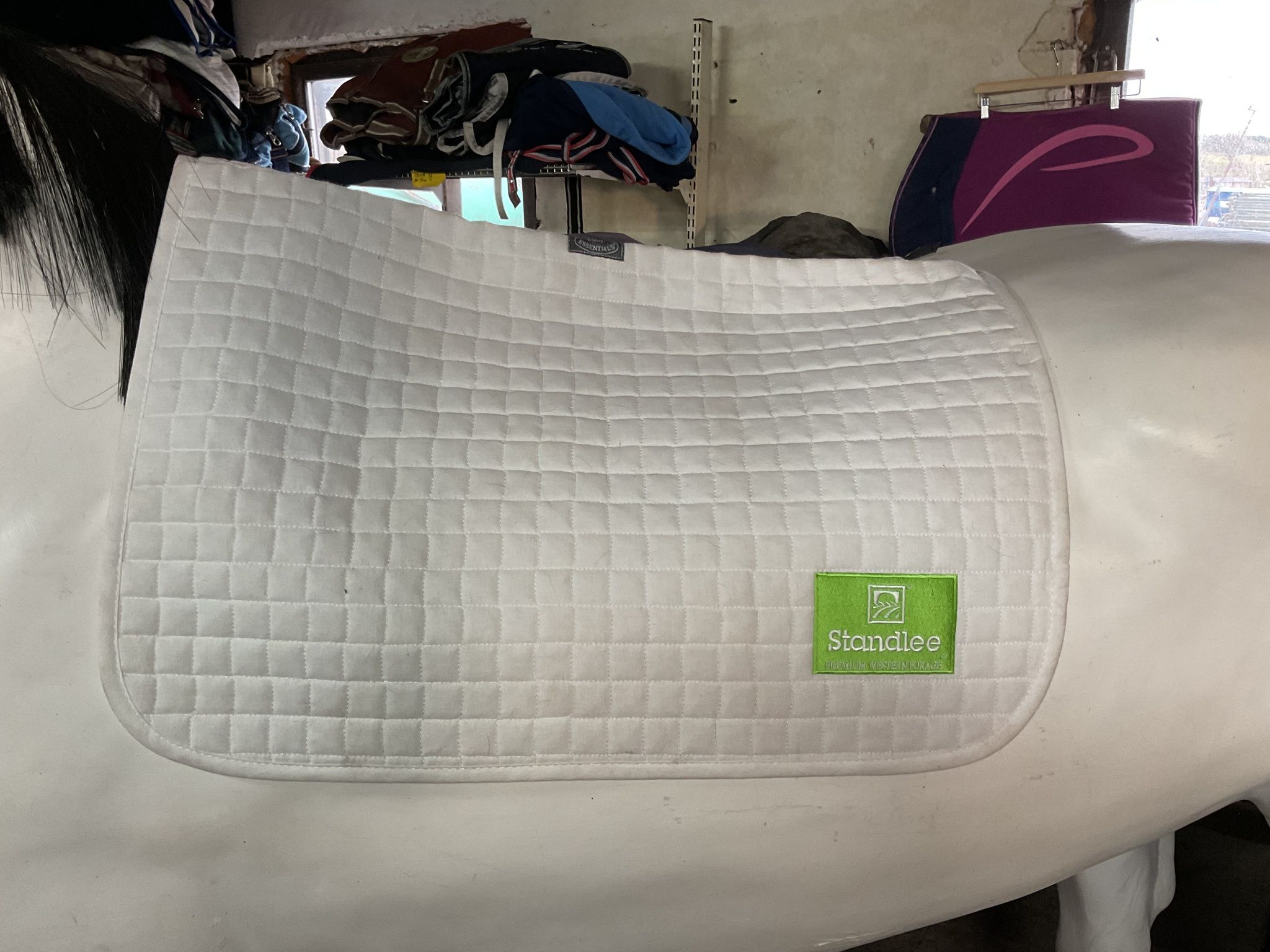 Equiessentials schabrak, f, vitt