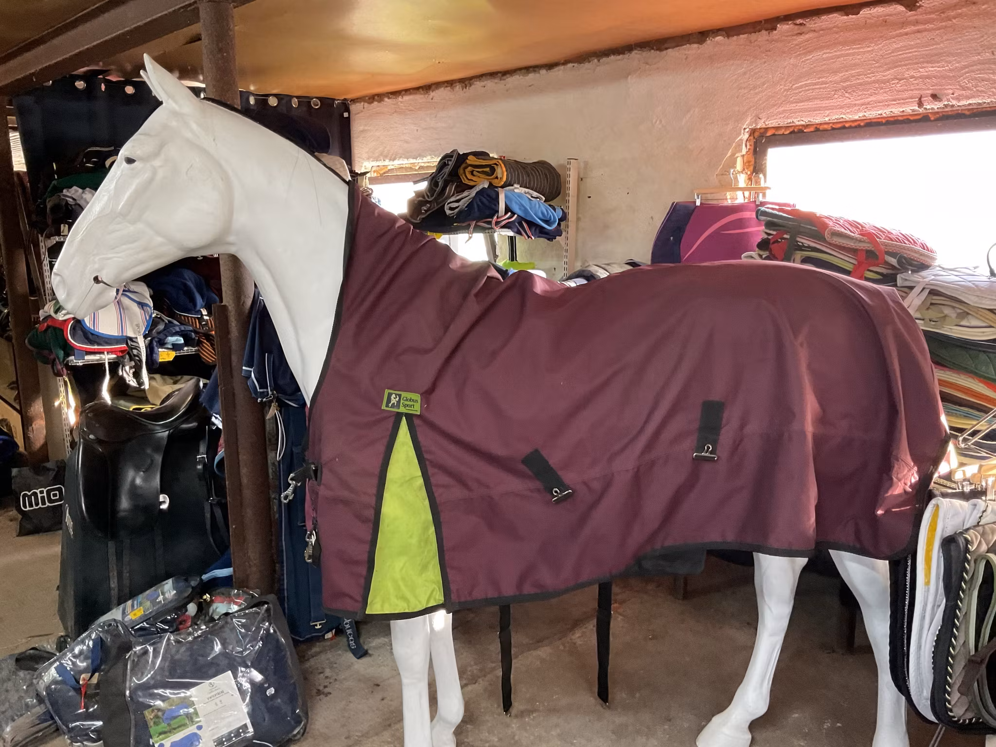 Globus regntäcke, lila, 135 cm