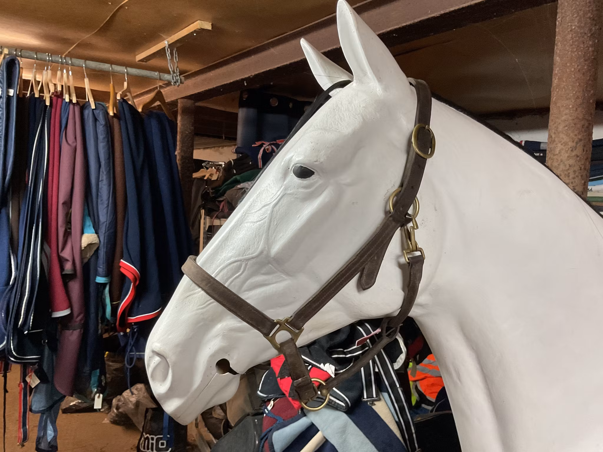 Lädergrimma, brun,f