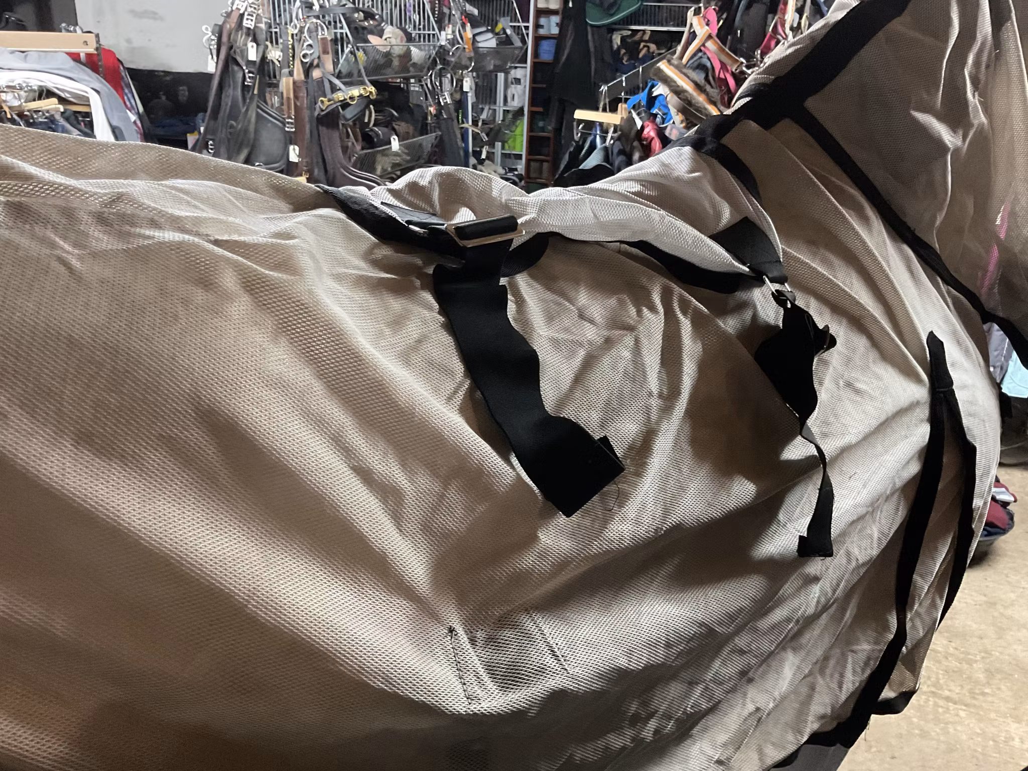 Horse power flugtäcke med hals, magplattan av-går att sy fast, 105 cm