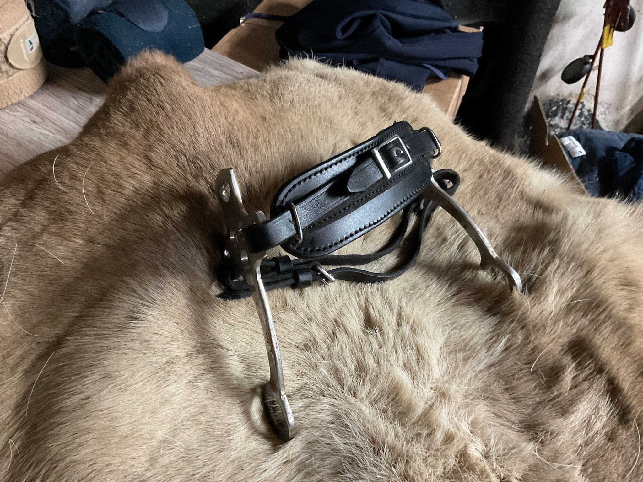 Hackamore svart, ca 17 cm skänklar, troligen cob