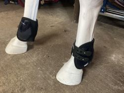 Eskadron,benskydd, navy,m,proflex sport