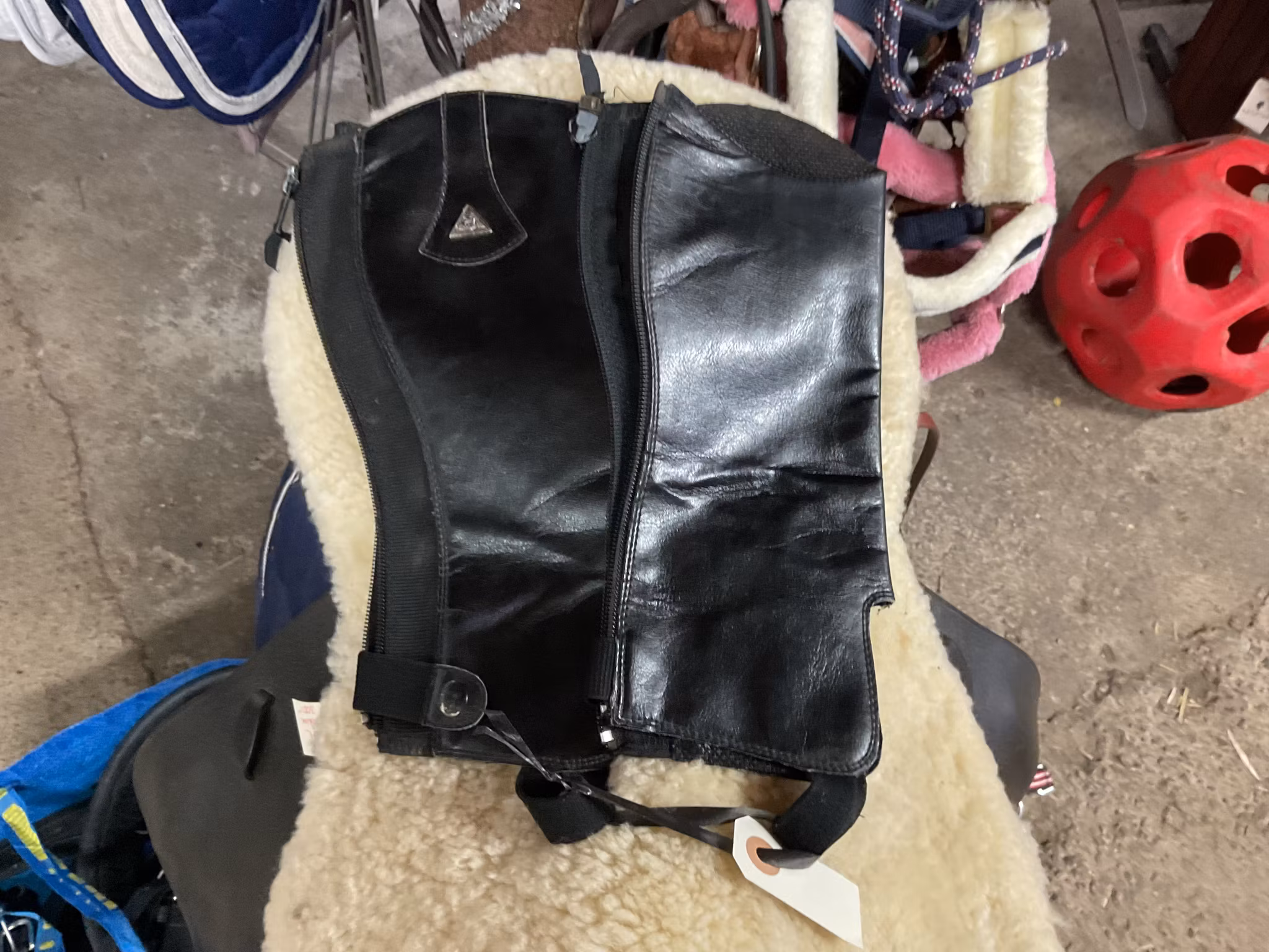 Mountain horse,shortchaps,svarta, stl junior s(8 år)