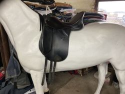 Kieffer master dressyrsadel, svart, 17”
