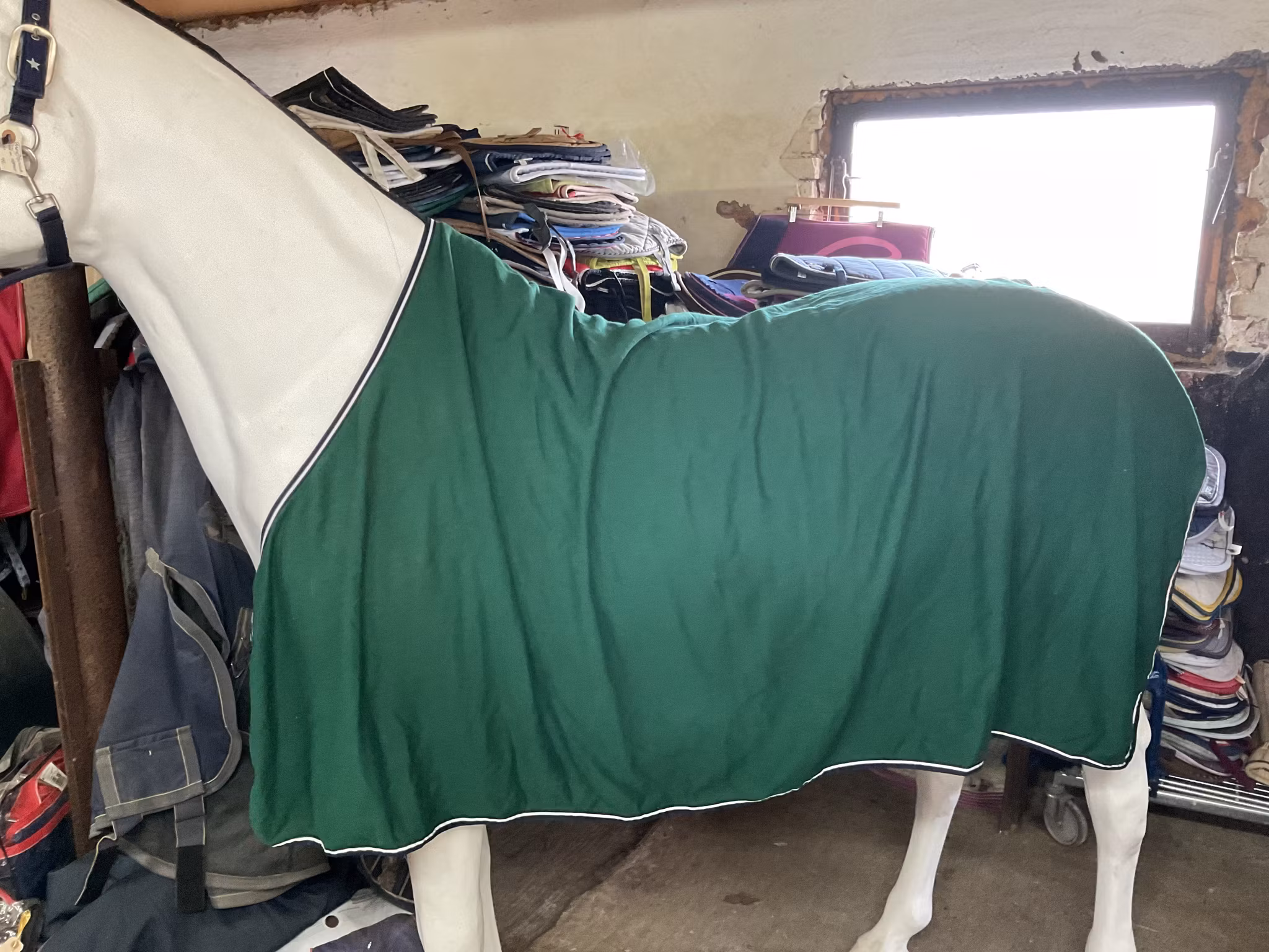 Horseware cooler täcke, grönt, 145 cm