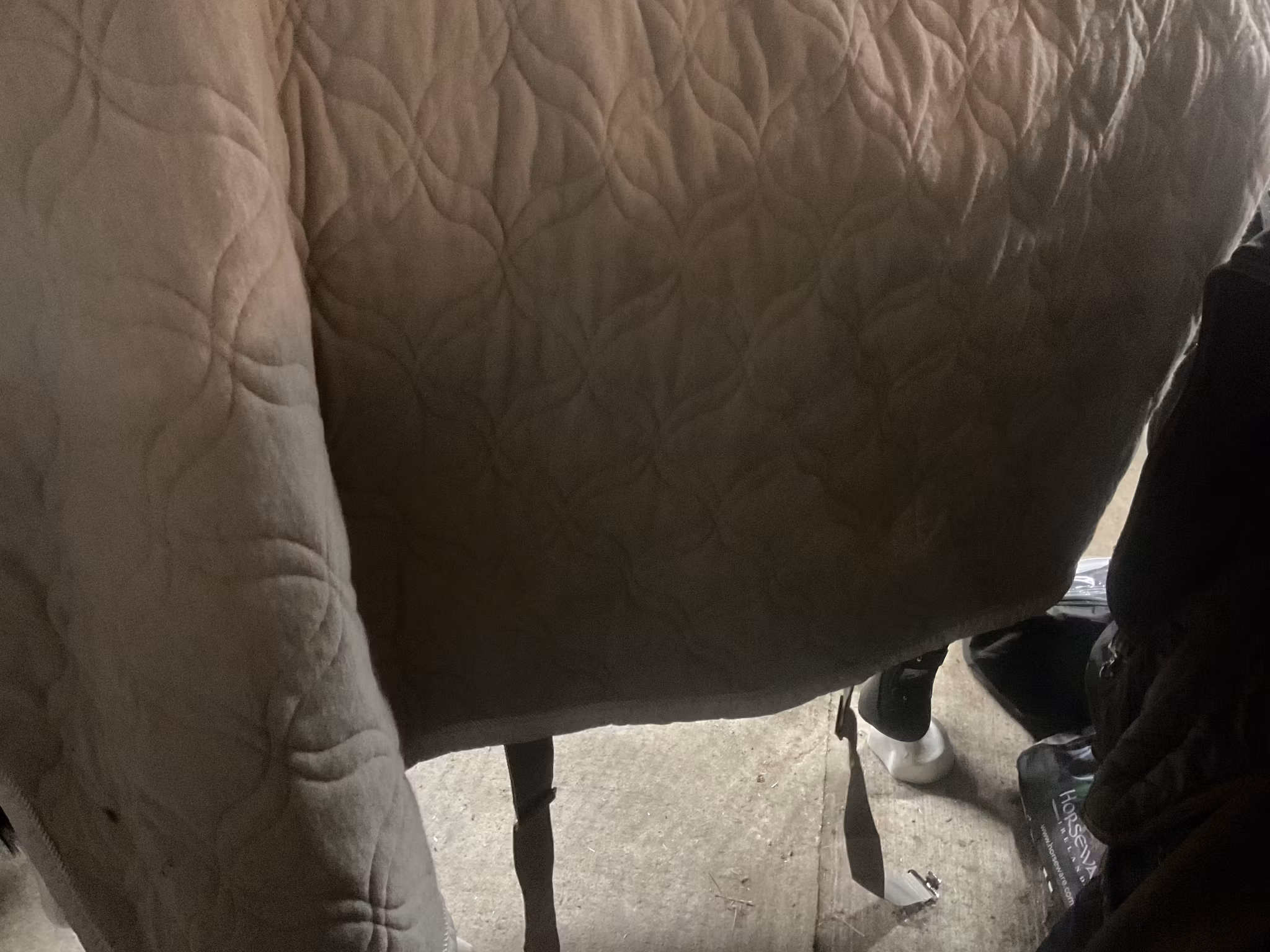 Eskadron platinum, täcke, XL,beige